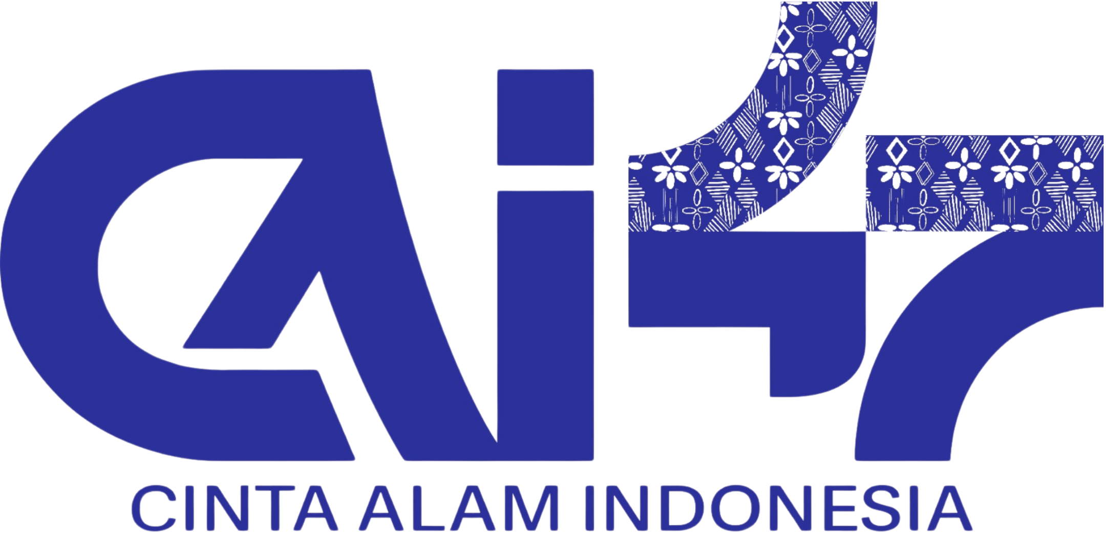 CAI 47 Logo